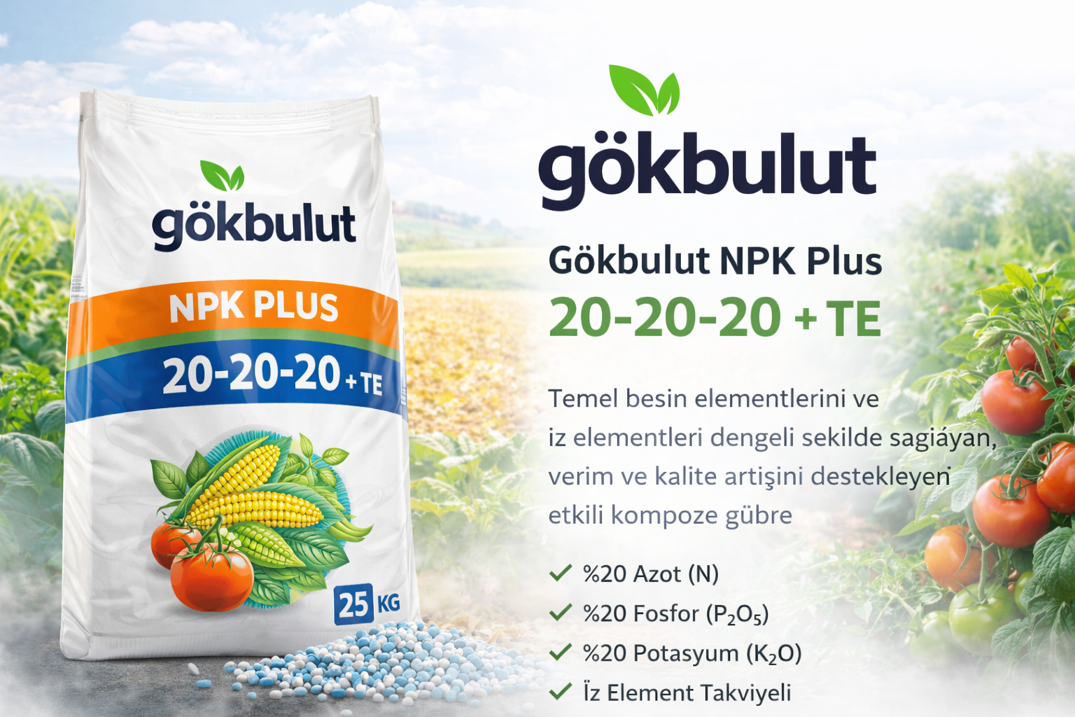 Gökbulut NPK Plus 20-20-20 + TE